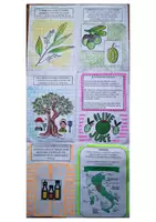 anteprima - Materiale per pittura e bricolage - Kit: L'olio d'oliva - Pagina 3