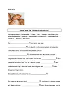 Vorschau - Arbeitsblätter - Rund um Muscheln Text Aufgaben Lösung - Seite 2