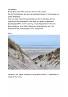 Vorschau - Arbeitsblätter - Die Nordsee kennenlernen Text Aufgaben Lösung - Seite 3