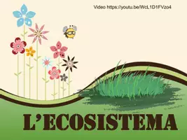 anteprima - Schede informative - L'ecosistema - Pagina di copertina