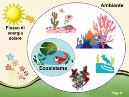 anteprima - Schede informative - L'ecosistema - Pagina 1