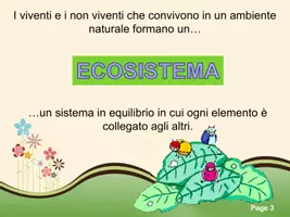 anteprima - Schede informative - L'ecosistema - Pagina 2