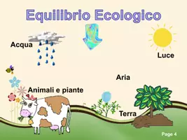 anteprima - Schede informative - L'ecosistema - Pagina 3