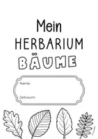 Vorschau - Arbeitsblätter - Vorlage Herbarium Arbeitsblätter - Seite 2