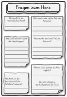 Vorschau - Unterrichtsreihen - Lesetext und Steckbrief zum Herz Klasse 2, 3, 4 - Seite 3