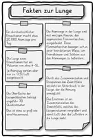 Vorschau - Stundenentwürfe - Steckbrief und Lesetexte Lunge Klasse 2, 3, 4 - Seite 2