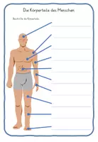 Vorschau - Stundenentwürfe - Der Mensch, Körper Sinne Experimente Klasse 1,2,3,4 - Seite 1