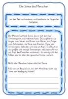 Vorschau - Stundenentwürfe - Der Mensch, Körper Sinne Experimente Klasse 1,2,3,4 - Seite 2