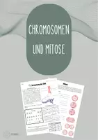 Vorschau - Arbeitsblätter - AB Verpackung DNA und Mitose - Deckblatt