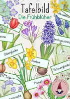 Vorschau - Stundenentwürfe - Tafelbild: Die Frühblüher - Deckblatt