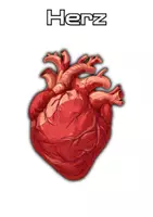 Vorschau - Präsentationen/Tafelbilder - 25 Tafelkarten menschlicher Organe - zum Ausschneiden und Aufhängen - Seite 1