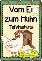 Vorschau - Poster - Tafelmaterial "Vom Ei zum Huhn" - Seite 1