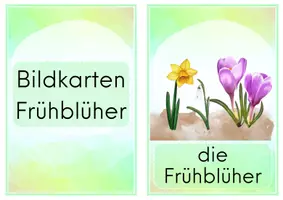 Vorschau - Poster - Frühblüher - Bildkarten - Fotokartei - Seite 1