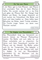 Vorschau - Fördermaterial/Inklusion - Deutsch - 24 Fehlertexte Klasse 4 (Teil 1) - Seite 2