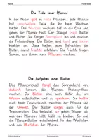 Vorschau - Fördermaterial/Inklusion - Deutsch - 24 Fehlertexte Klasse 4 (Teil 1) - Seite 3