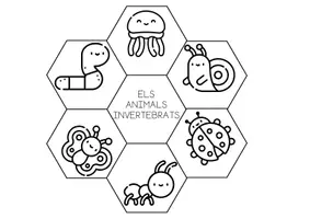 Vista previa - Hojas de trabajo - Els animals invertebrats - Portada
