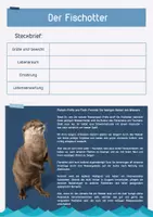 Vorschau - Arbeitsblätter - Der Fischotter (Arbeitsblatt + Lösung) - Deckblatt