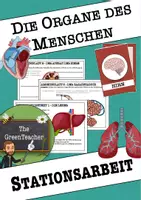 Vorschau - Arbeitsblätter - Materialpaket - Stationenlernen und Tafelmaterial Organe des Menschen - Deckblatt