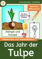 Vorschau - Arbeitsblätter - Das Jahr der Tulpe - Tulpenjahr - Bildkarten - Tafelkarten - Arbeitsblätter - Deckblatt