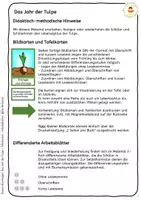 Vorschau - Arbeitsblätter - Das Jahr der Tulpe - Tulpenjahr - Bildkarten - Tafelkarten - Arbeitsblätter - Seite 2