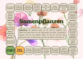 Vorschau - Spiele - Brettspiel Pflanzen (Samenpflanzen) - Seite 1