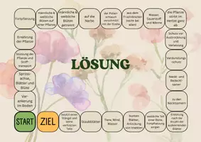 Vorschau - Spiele - Brettspiel Pflanzen (Samenpflanzen) - Seite 2