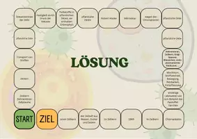 Vorschau - Spiele - Brettspiel pflanzliche und tierische Zellen - Seite 2