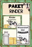 Vorschau - Unterrichtsreihen - Materialpaket zum Rind - Deckblatt