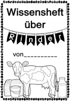 Vorschau - Unterrichtsreihen - Materialpaket zum Rind - Seite 2