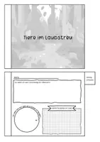 Vorschau - Arbeitsblätter - Flipbook zu Tiere im Laubstreu - Seite 2