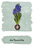 Vorschau - Stundenentwürfe - Frühblüher - Lernheft fächerübergreifend - Wortspeicher, Visualisierungen - Seite 1