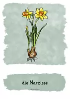 Vorschau - Stundenentwürfe - Frühblüher - Lernheft fächerübergreifend - Wortspeicher, Visualisierungen - Seite 3
