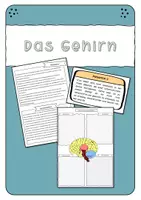 Vorschau - Arbeitsblätter - Das menschliche Gehirn und seine Aufgaben - Deckblatt