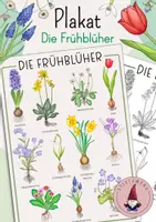 Vorschau - Poster - Plakat/ Poster: Die Frühblüher - Deckblatt