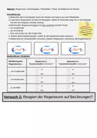 Vorschau - Arbeitsblätter - Flipbook Sinneszellen Regenwurm - Seite 2