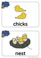 Aperçu - Présentation / Support pour le tableau - Brown Owl's Spring & Easter - FLASHCARDS & WORDCARDS - Page 2