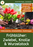 Vorschau - Arbeitsblätter - Frühblüher - Speicherorgane - Wurzel - Zwiebel - Knolle - Deckblatt