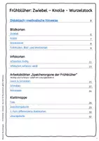 Vorschau - Arbeitsblätter - Frühblüher - Speicherorgane - Wurzel - Zwiebel - Knolle - Seite 1