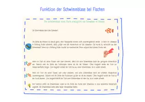 Vorschau - Arbeitsblätter - Schwimmblase und Experimente Materialpaket - Seite 3