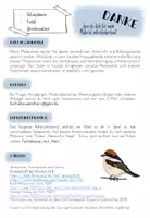 Vorschau - Spiele - Heimische Vögel - Merk es dir Spiel - Seite 1