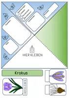 Vorschau - Mal- und Bastelvorlagen - Quadrama - Frühblüher - Deckblatt