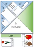 Vorschau - Mal- und Bastelvorlagen - Quadrama - Frühblüher - Seite 1