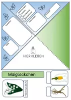 Vorschau - Mal- und Bastelvorlagen - Quadrama - Frühblüher - Seite 2