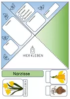 Vorschau - Mal- und Bastelvorlagen - Quadrama - Frühblüher - Seite 3