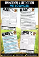 Vorschau - Arbeitsblätter - Hunde Infomaterial & Arbeitsblätter | Haustiere bzw. Säugetiere 2-seitige Textpassage mit Markierungen - Seite 1
