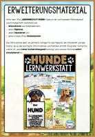 Vorschau - Arbeitsblätter - Hunde Infomaterial & Arbeitsblätter | Haustiere bzw. Säugetiere 2-seitige Textpassage mit Markierungen - Seite 3