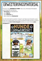 Vorschau - Stationenlernen - Hunde Steckbrief | Haustiere - Säugetiere Projekt - Seite 2