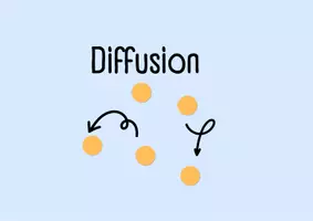 Vorschau - Arbeitsblätter - Diffusion passiver Transport mit Lösung - Seite 1