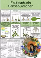 Vorschau - Mal- und Bastelvorlagen - Faltbüchlein - Gänseblümchen - Deckblatt