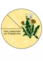 Vorschau - Mal- und Bastelvorlagen - Drehscheibe - Löwenzahn - Deckblatt